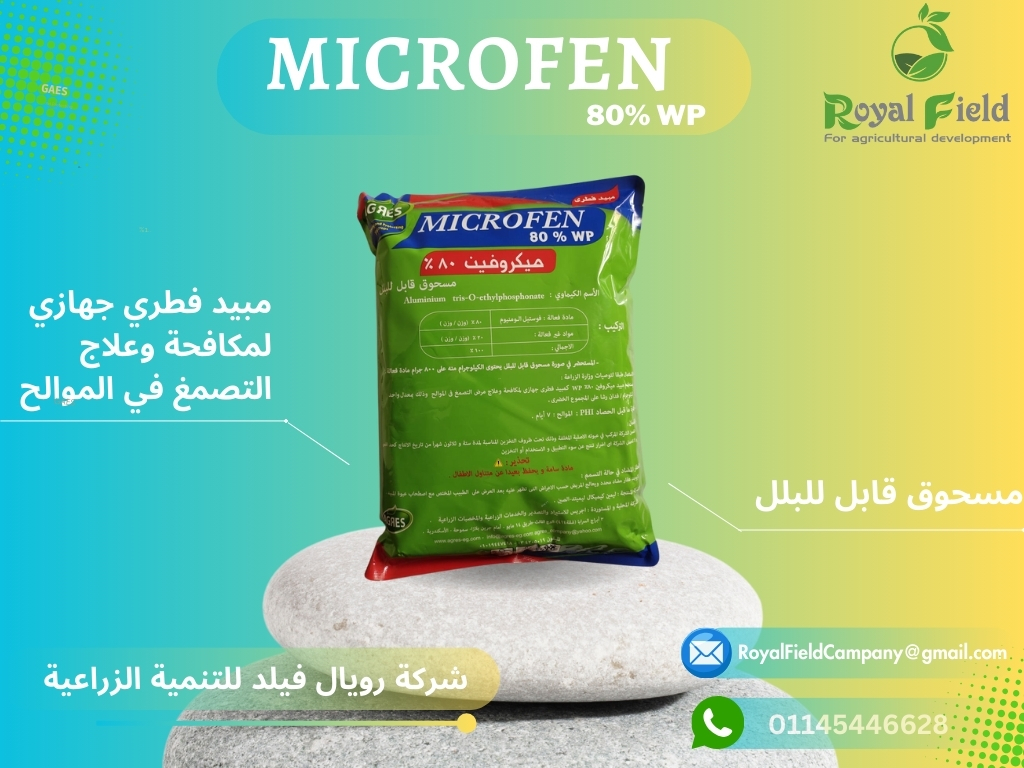 482064990_657855156755658_7440703792033719803_n