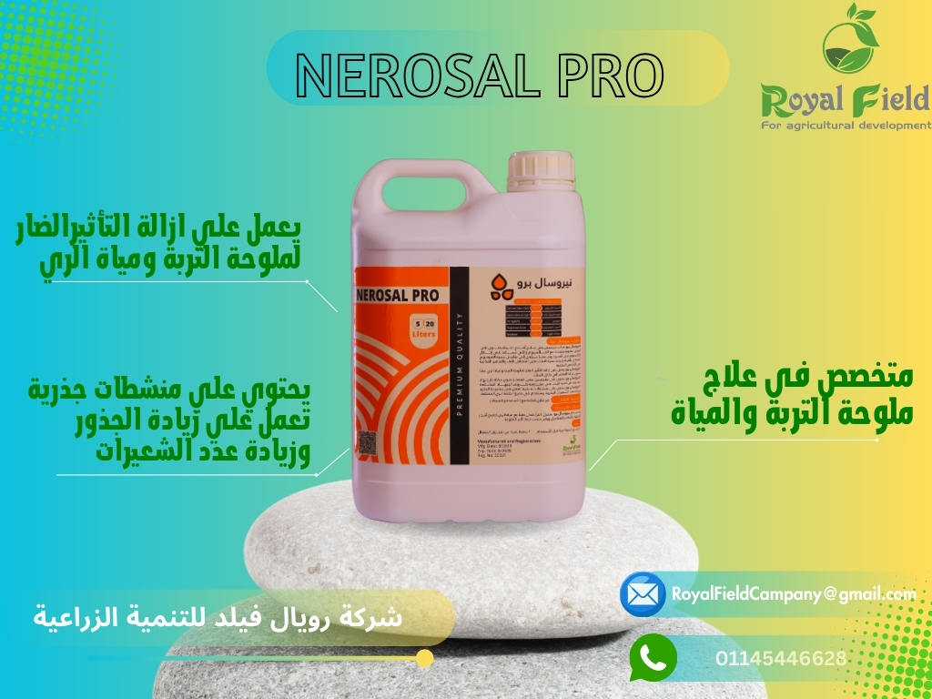 482191133_657854903422350_6049772994778307191_n