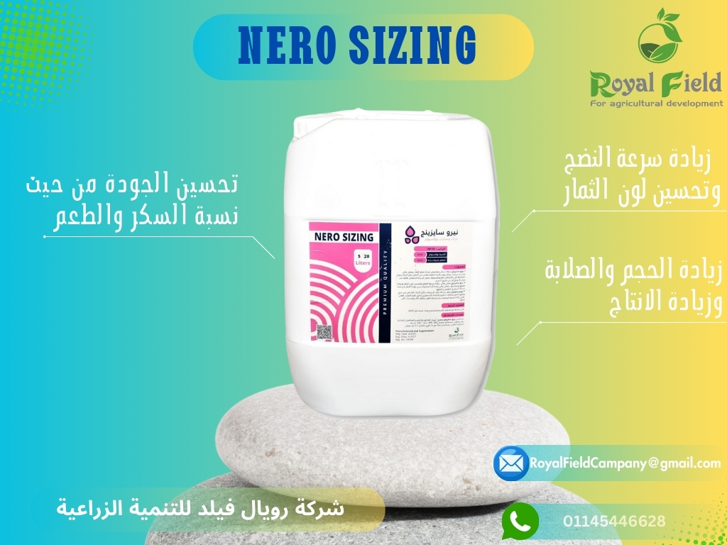 482191193_657855130088994_7292648144003850747_n