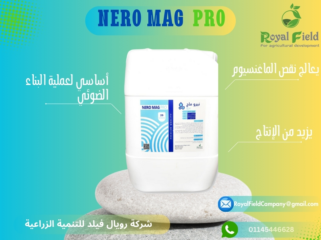 482960634_657854766755697_6150187351640948230_n